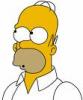 homer image 1